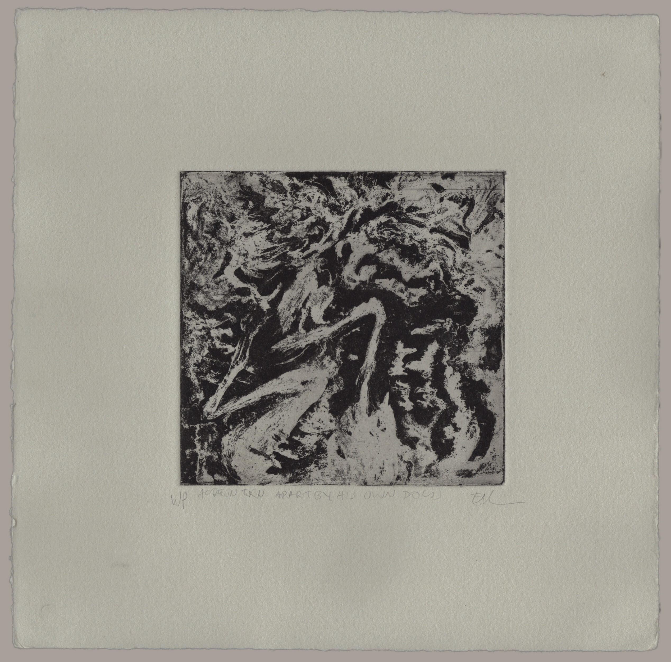 An etching with a wide border on grey paper. The image is dense and swirling, the legs of a deer are visible, as are the distorted faces of dogs which seem to blend into one another as they tear apart the deer. The print is signed: 'WP, Actaeon Torn Apart By His Own Dogs, EM'