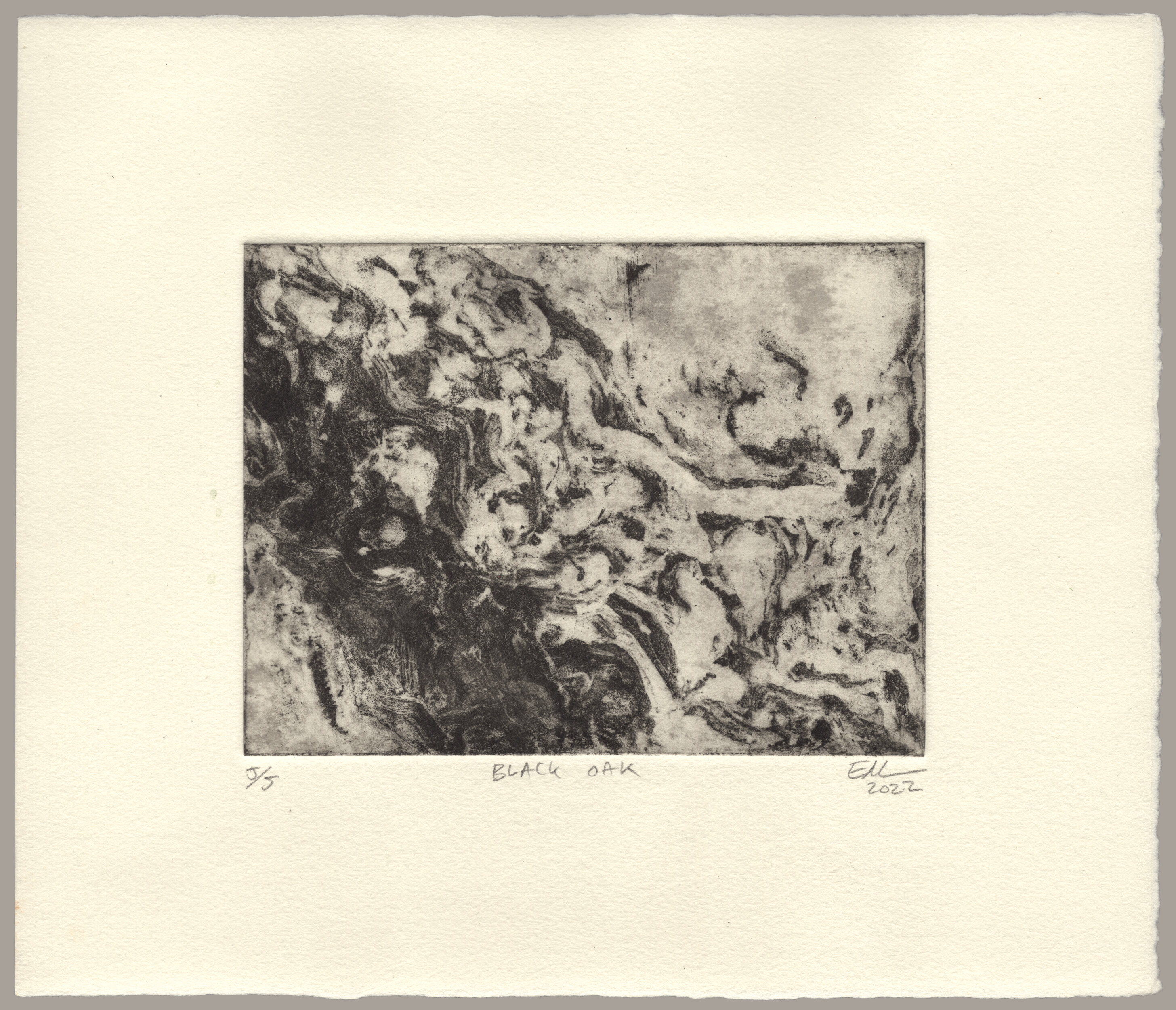 An abstract etching of tree bark in shades of warm grey and black on white paper. A band of irregular, dark brushstrokes crosses the paper diagonally from the upper left corner to the bottom right corner. The markings evoke the texture of tree bark, ice breaking away from the shore, or clouds of smoke from a forest fire. From the bottom left corner to the upper right corner, the markings transition from dense and black to sparse against the blotchy light grey background, suggesting curvature. The print is signed: '5 of 5, Black Oak, EM 2022'