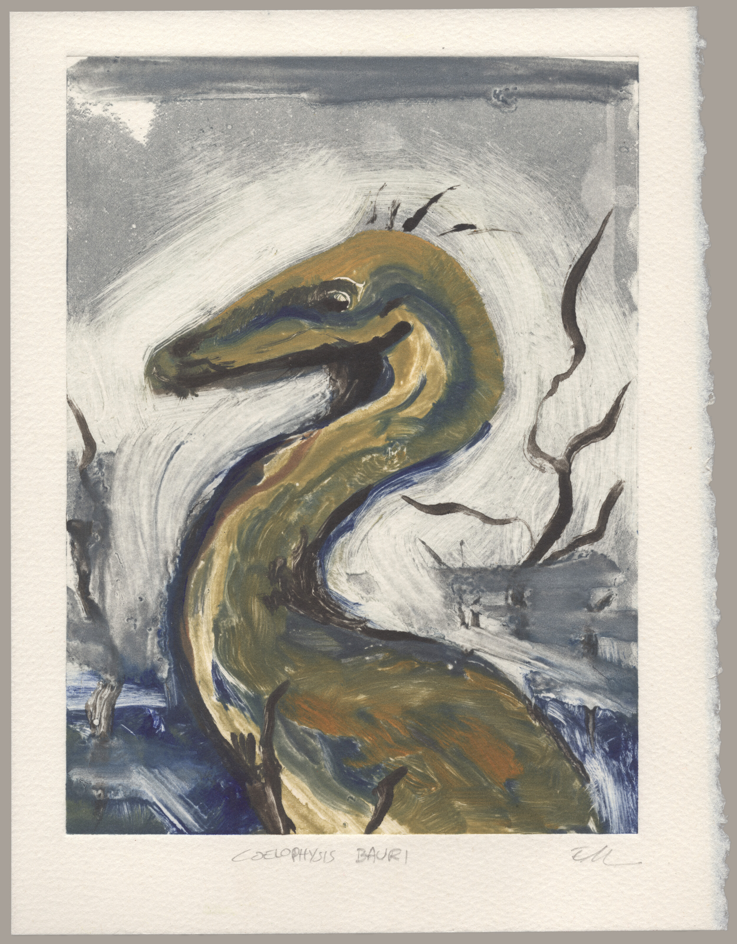 A monotype print of a greenish, long necked dinosaur with its neck curled in an s-shape. The print is signed 'Coelophysis bauri, EM'