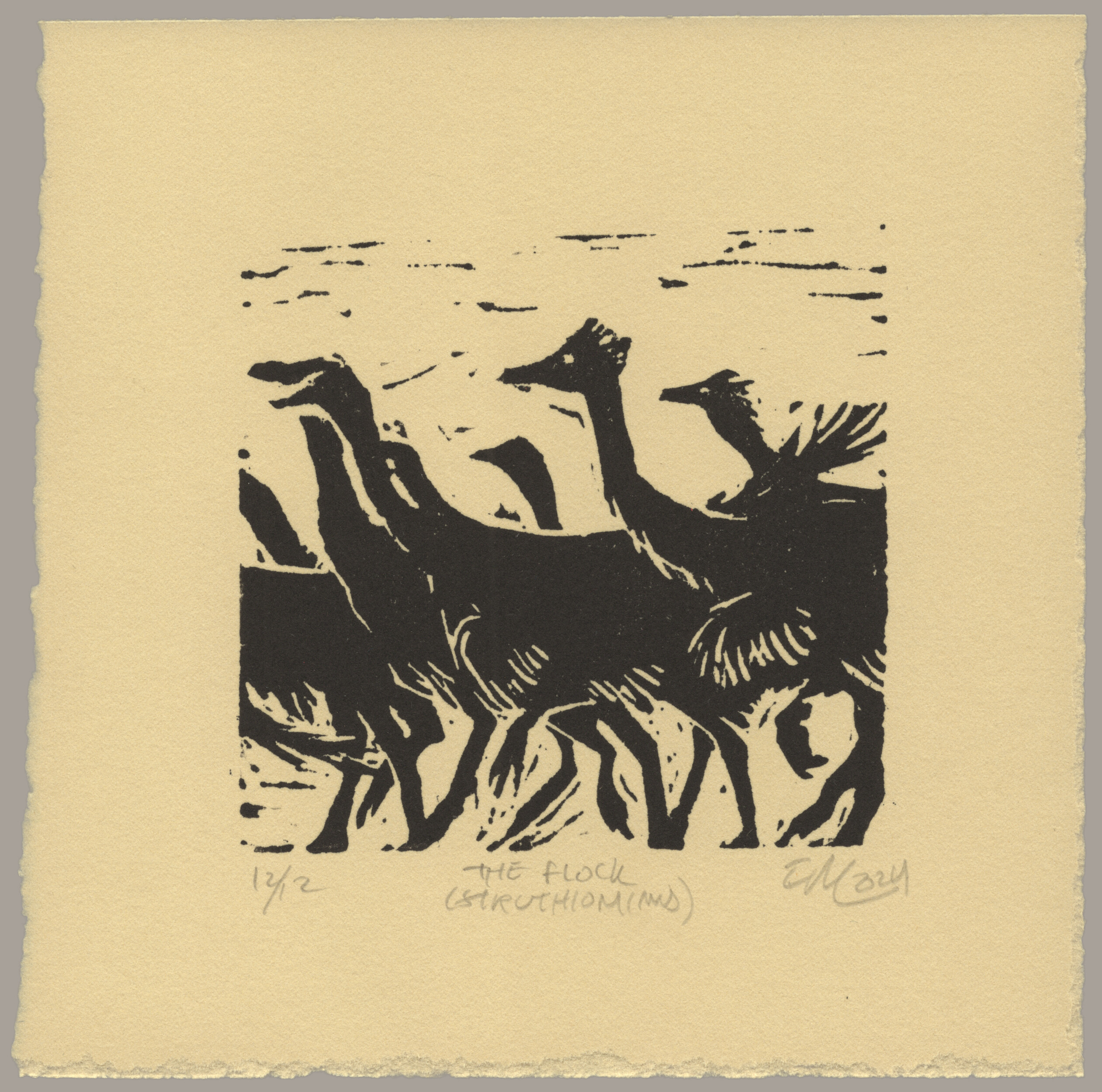 A black print on cream paper of a closely packed flock of feathered dinosaurs. They are walking quickly to the left with their heads up in the air. The print is signed: '12 of 12, The Flock (Struthiomimus), EM 2024'