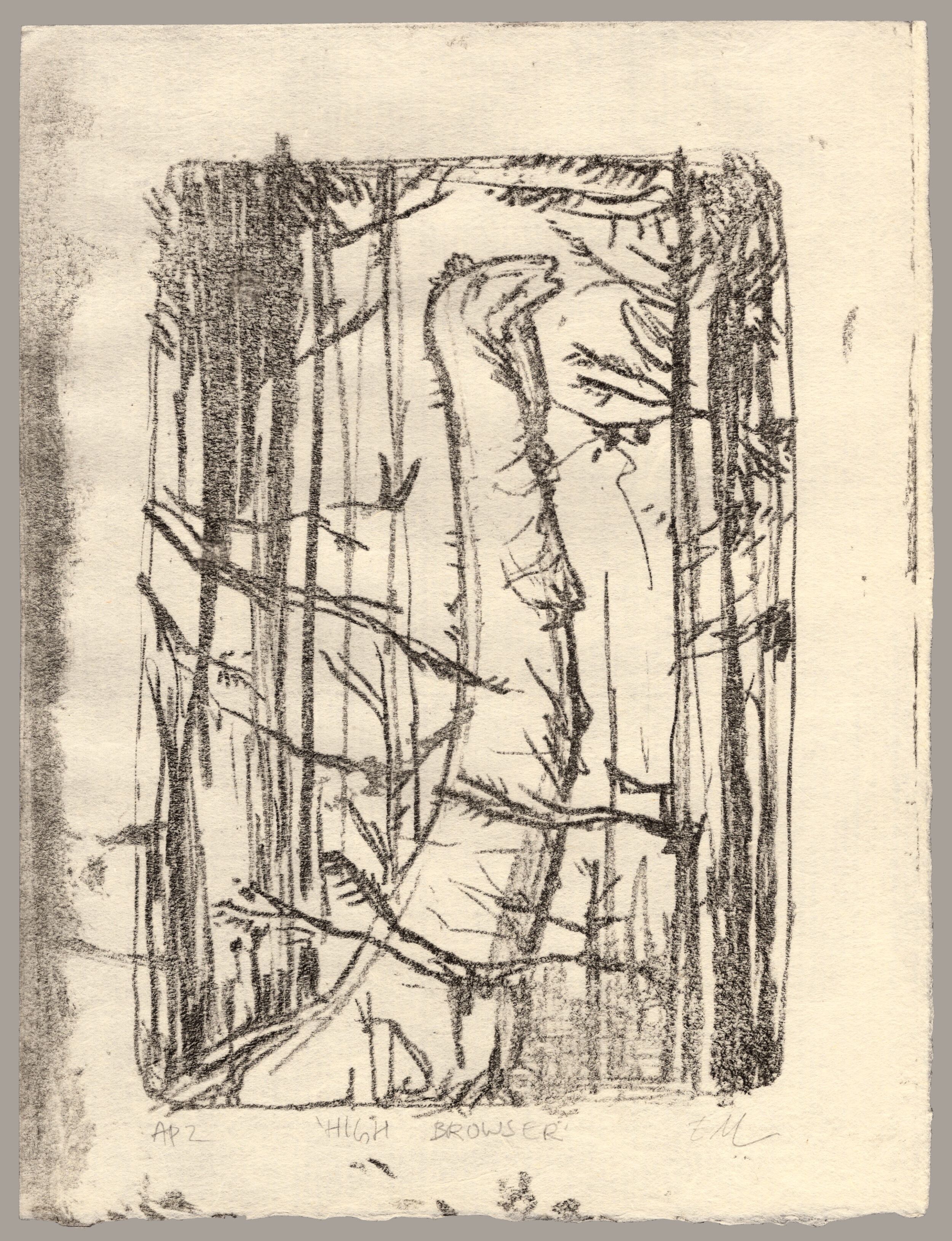 A lithograph of a long-necked dinosaur picking the leaves off of tall trees. The print is signed 'AP 2, High Browser, EM'