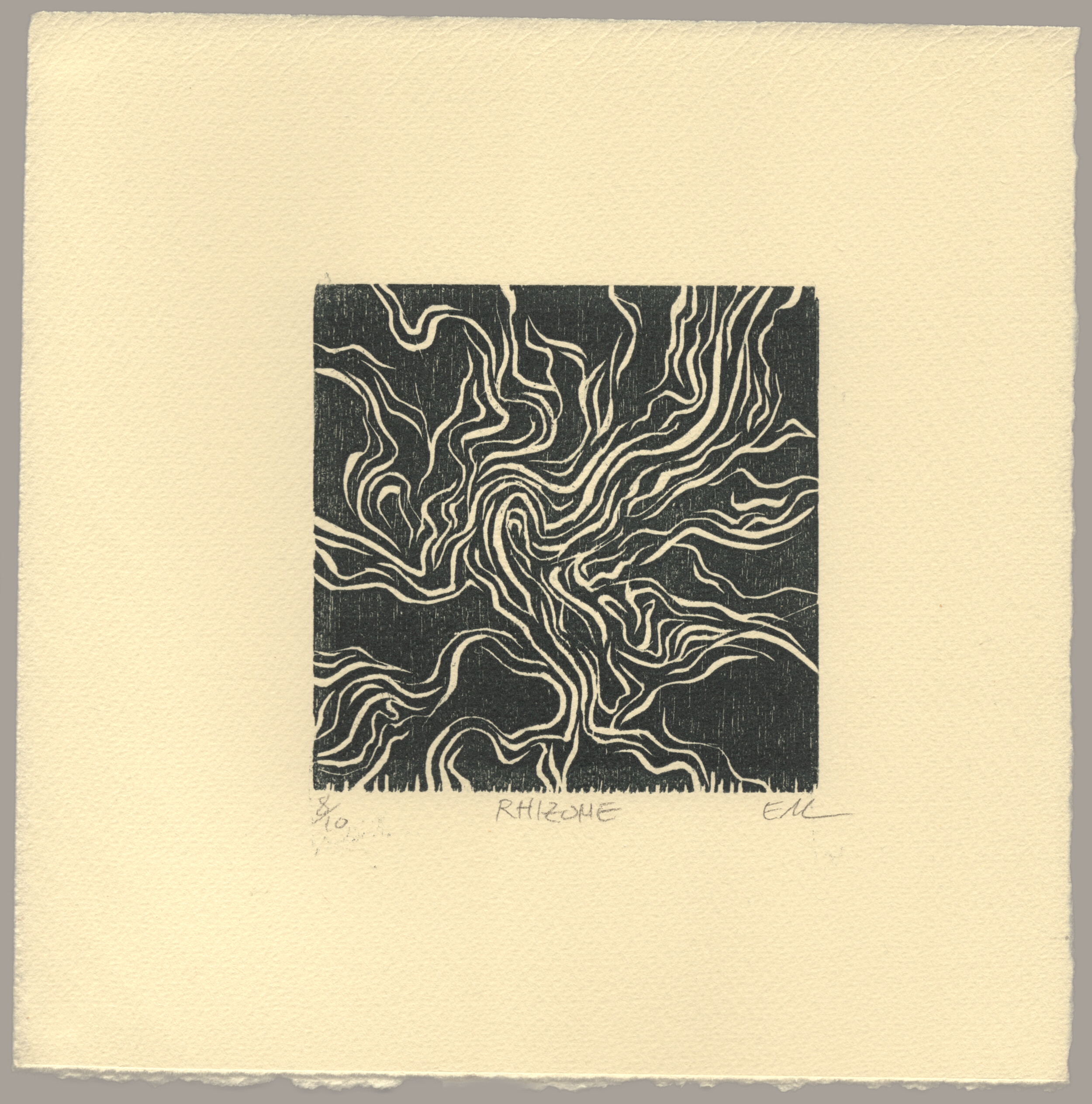 An abstract woodcut print on warm paper consisting of a black square broken up by (negative) white curvy lines which fold over each other, cluster, and diverge. The center of the pattern is tightly packed like a fingerprint, and as it spreads out it resembles ripples in a stream, folds of fabric, or bark beetle tracks. The print is signed: '8 of 10, Rhizome, EM'