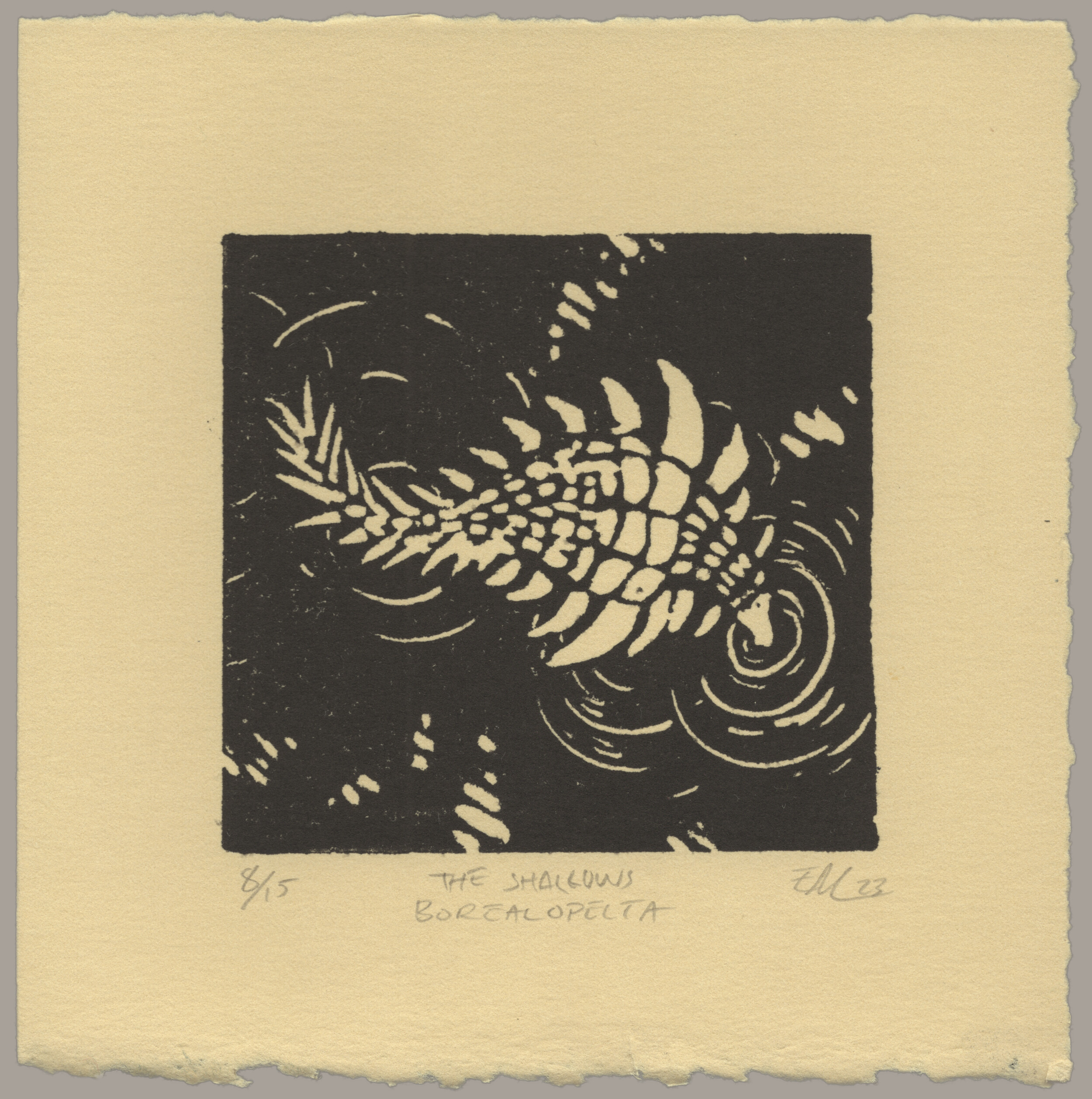 A black linocut print of a plated dinosaur laying in shallow water. The print is signed '8 of 15, The Shallows (Borealopelta), EM 23'