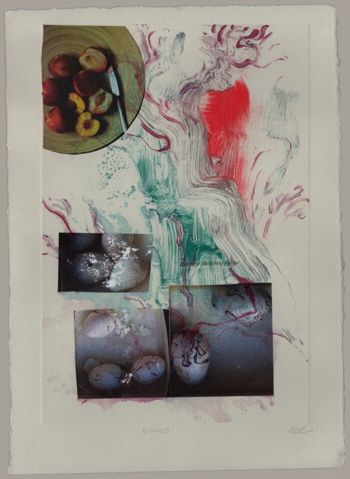 A monotype of red and green brushstrokes on top of cut out images of eggs and peaches; text reads: 'the light discretely enters'