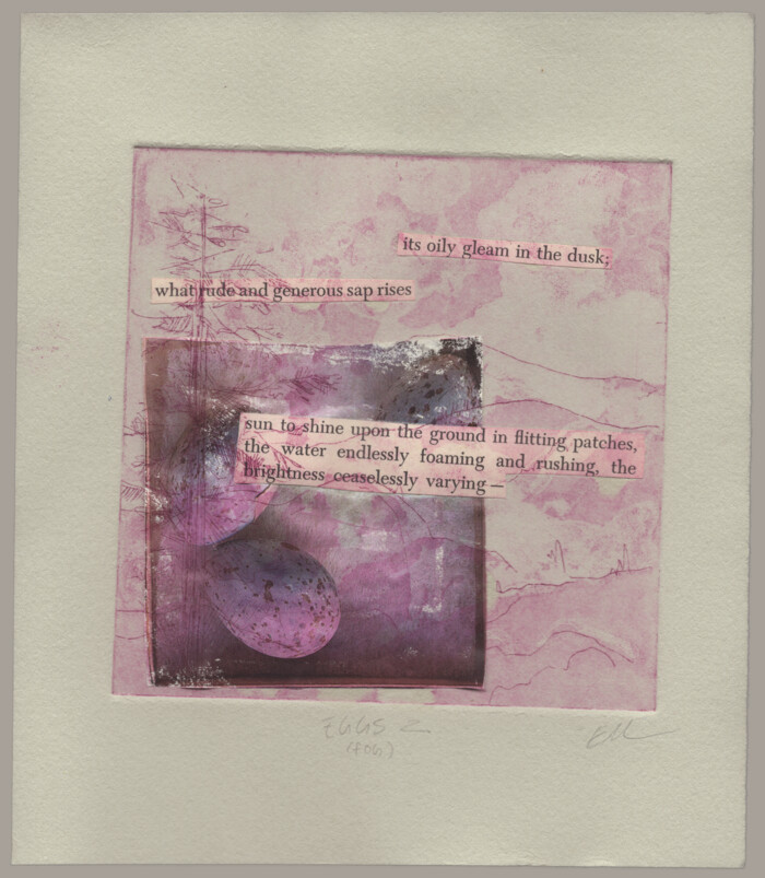 A landscape etching in light purple with a cutout image of eggs and text discussing water, sap, and texture pasted over it.