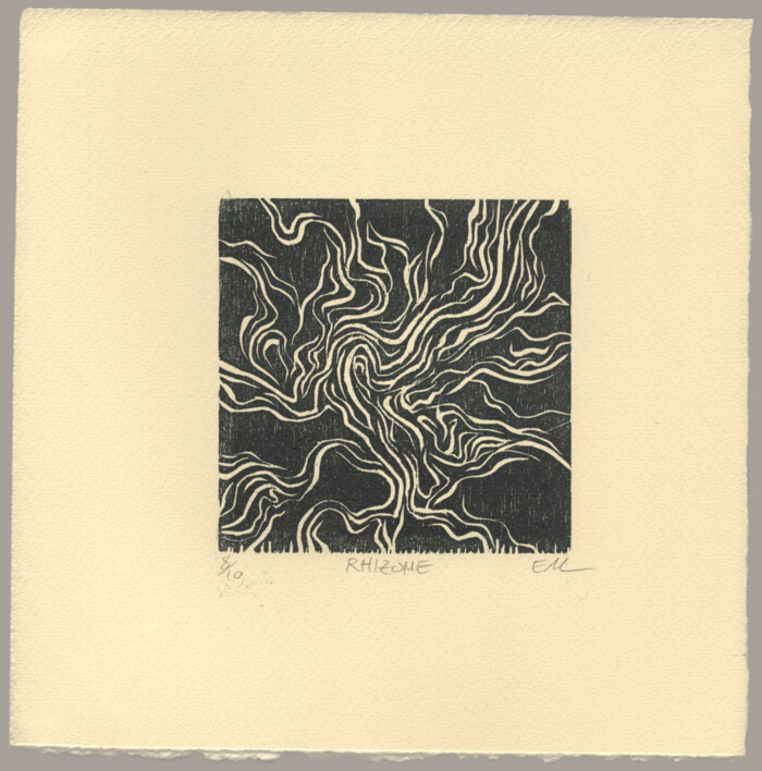 An abstract woodcut print of what appears to be folds of fabric or bark beetle tracks.