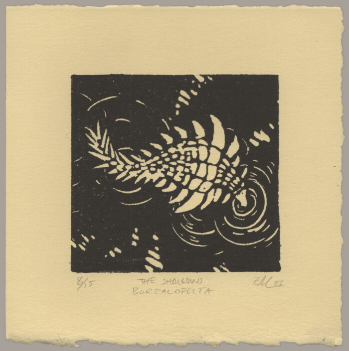 A black linocut print of a plated dinosaur laying in shallow water.
