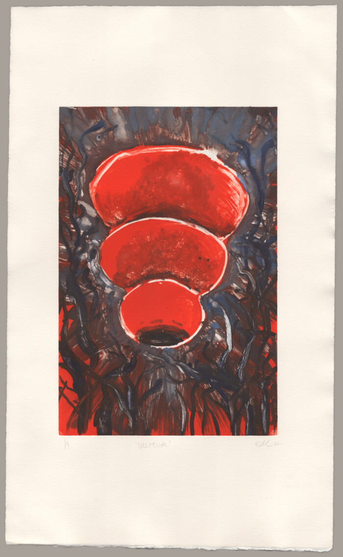 A monotype print of a red Kong dog toy on a swirling dark background.